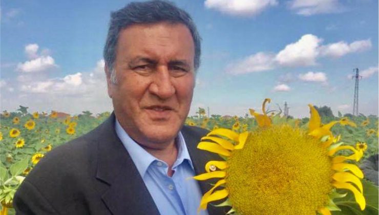 Gürer: “AKP’nin ithalat sevdası vatandaşı ayçiçeği yağına muhtaç etti”