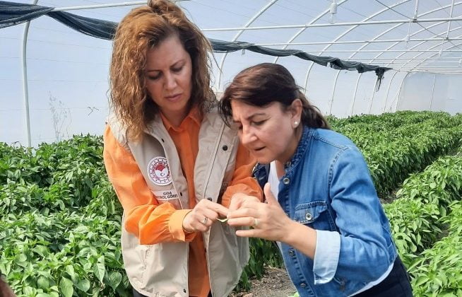 Zararlılara karşı bilgilendirme yapıldı