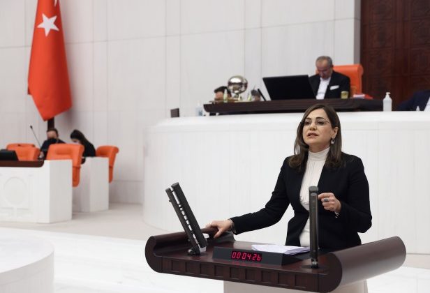 CHP’li Yüceer: “Bireysel Silahlanmaya Dur Demeliyiz”