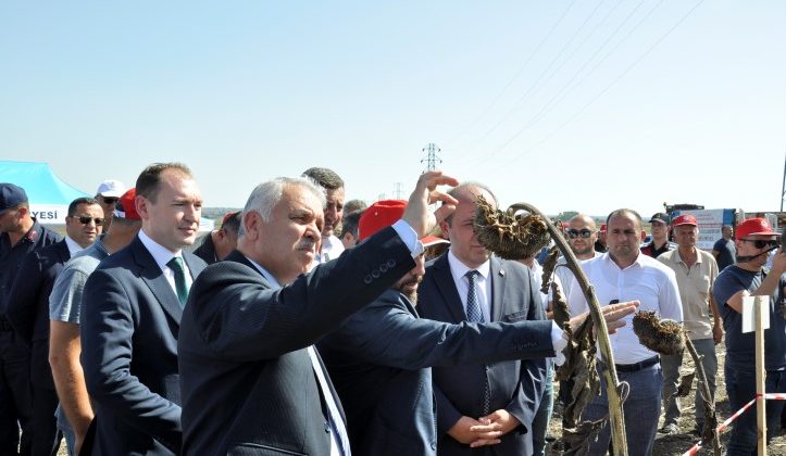Yerli Tohum Yaygınlaştırılması Projesi Tarla Günü Yapıldı
