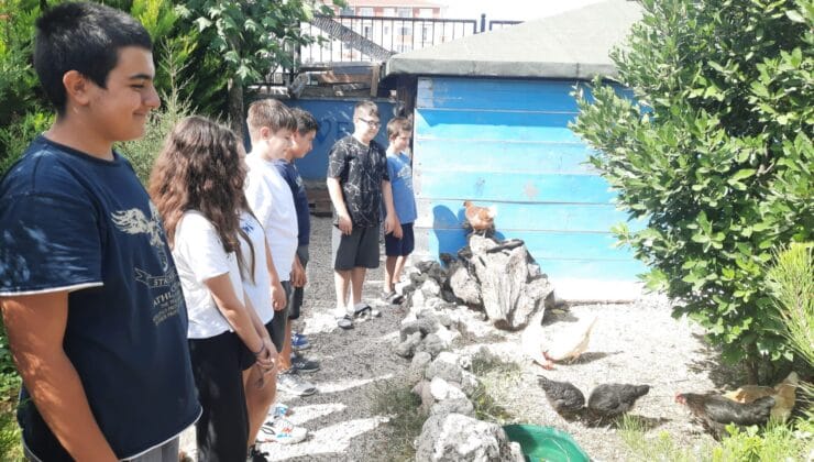 Botanik Kümes projesiyle çocukların sosyal gelişimi hedefleniyor