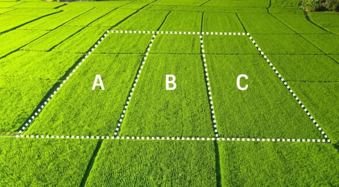 Hisseli Parsel Mağduriyeti: 30 Kişi Şufa Davasıyla Zarar Etti