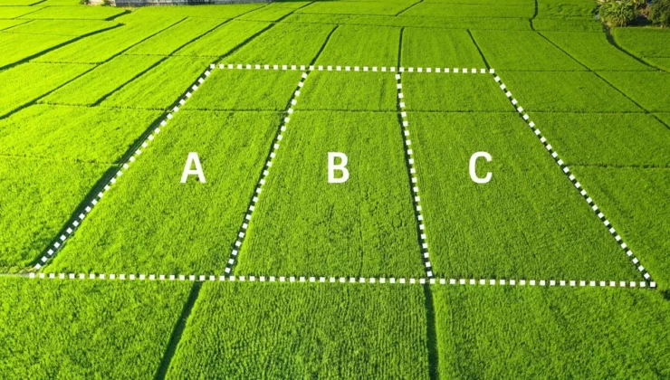 Hisseli Parsel Mağduriyeti: 30 Kişi Şufa Davasıyla Zarar Etti