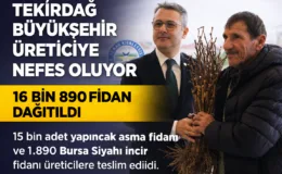 Büyükşehir’den Üreticiye Can Suyu: 16 Bin 890 Fidan Dağıtıldı